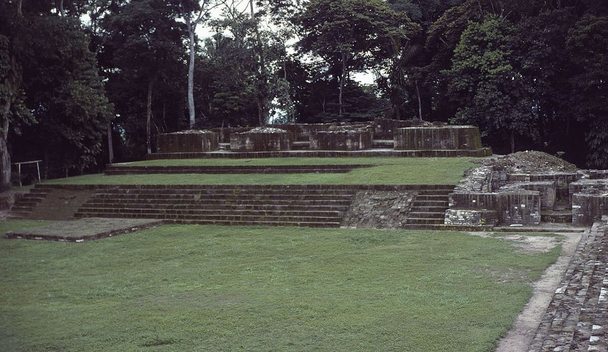 Kenzo hotsell quirigua ecuador